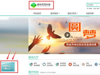 廊坊医保缴费凭证查询指南 便捷入口与智慧平台使用详解